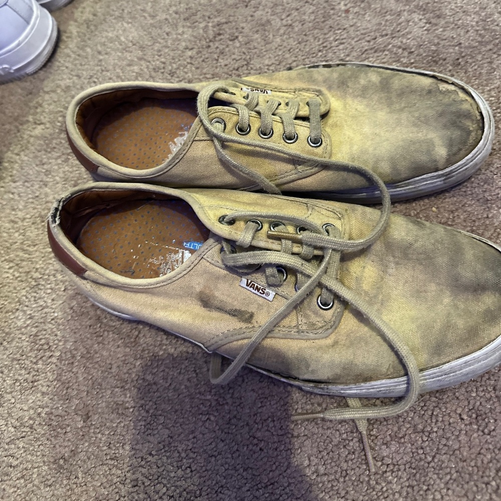 Vans skate shoes